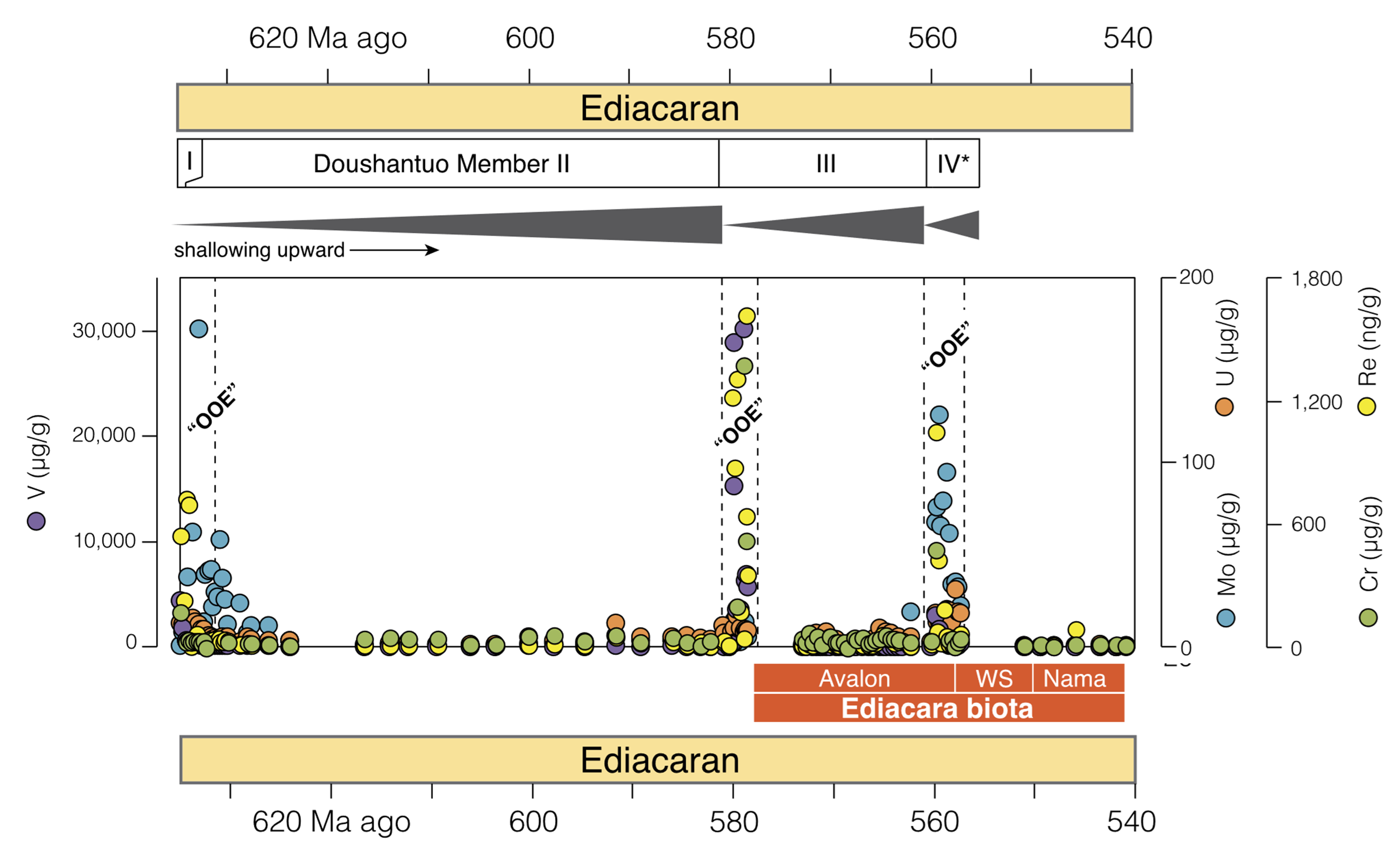 Nature Communications Repeated Hydrogen Sulfide Poisoning In The Photic Zone Of The Ediacaran