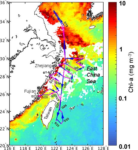 东海大气中生物一次和二次气溶胶的研究取得新进展.png 东海大气中生物一次和二次气溶胶的研究取得新进展.png