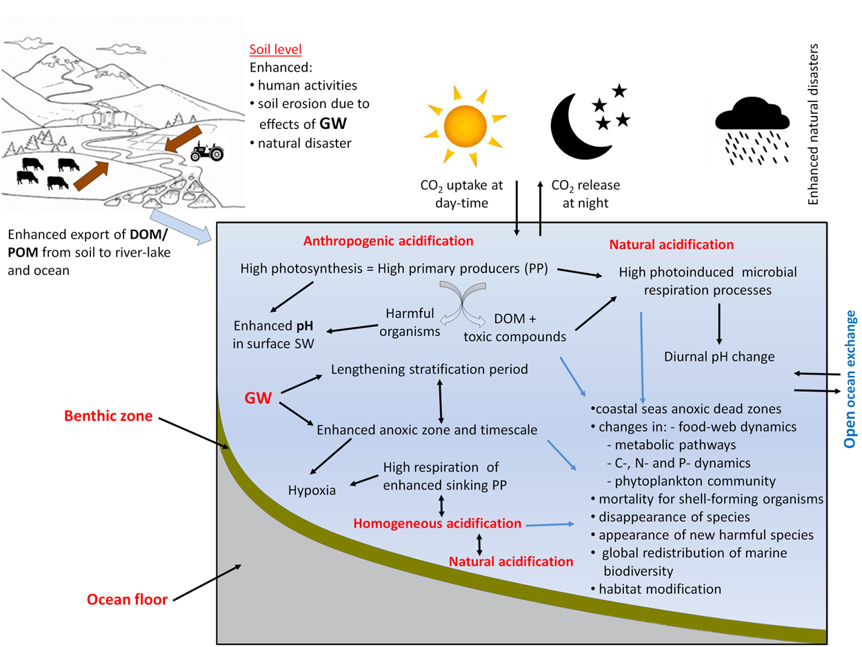 image2.png image2.png