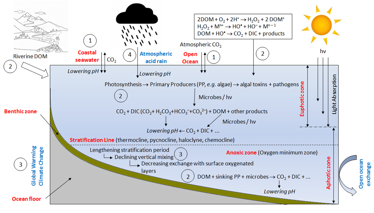 image1.png image1.png