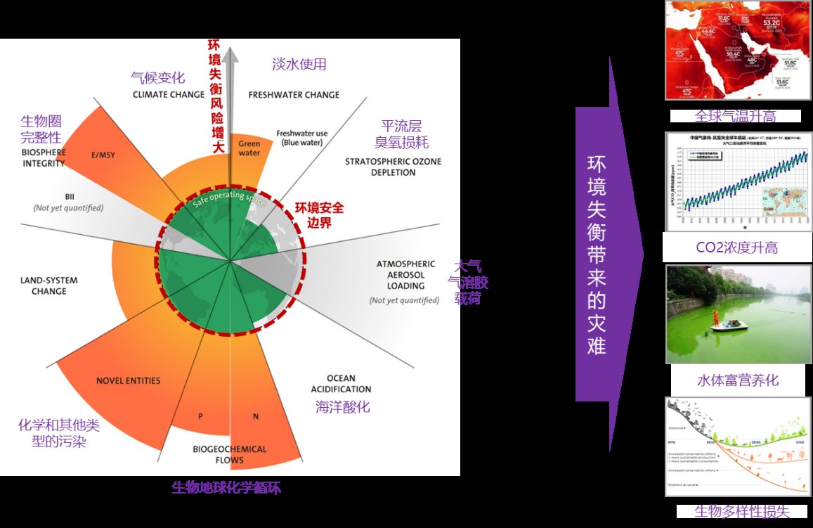 活动动态
