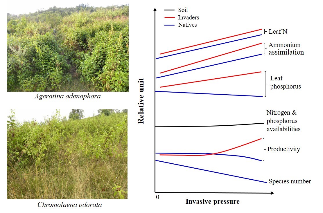 文章图.jpg 文章图.jpg